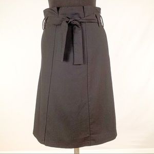 Lark & Ro Pleated Waist A Line Black Skirt POCKETS